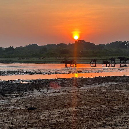 Kingfisher Beach Resort-Yala Киринда Экстерьер фото