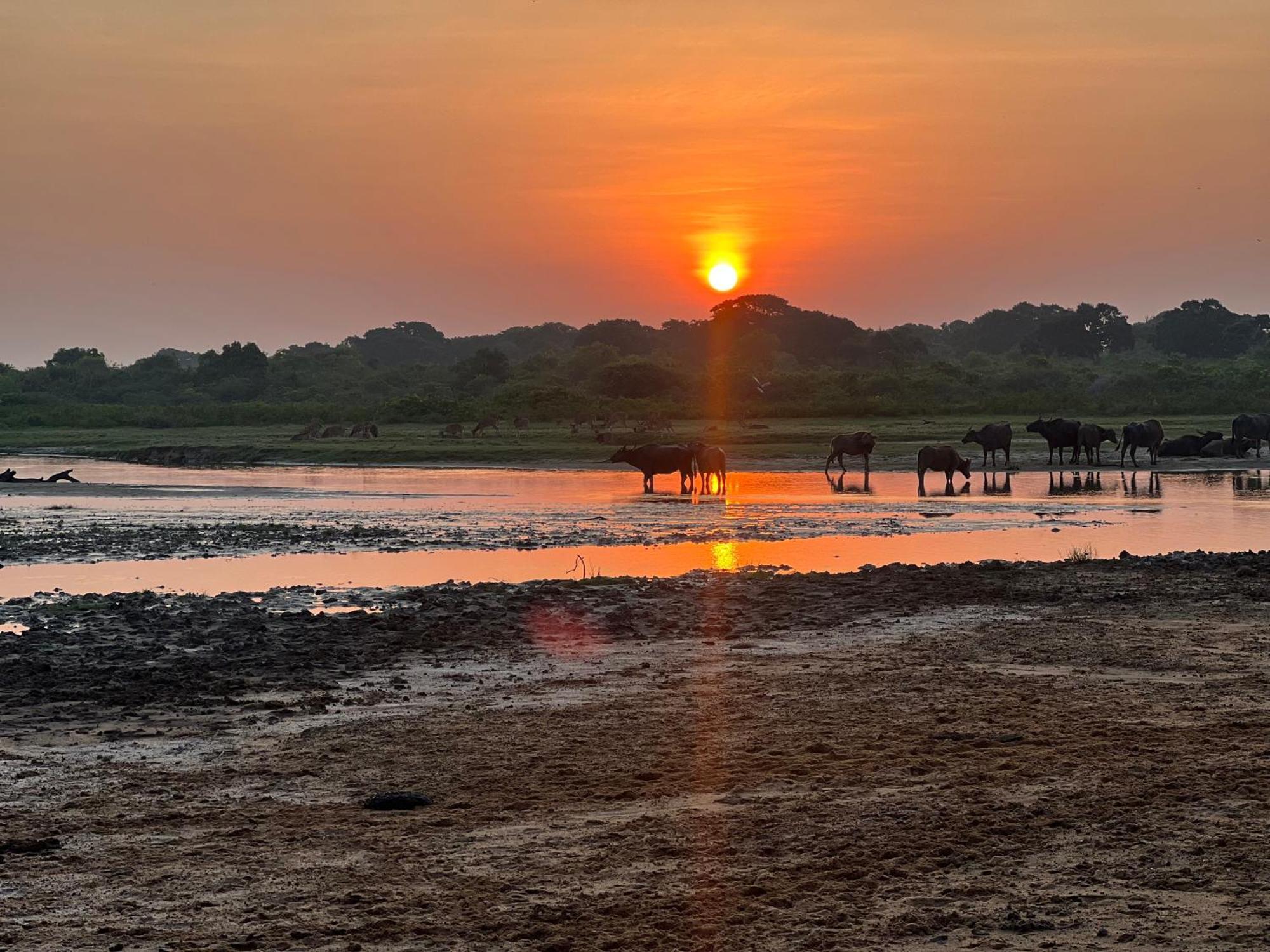 Kingfisher Beach Resort-Yala Киринда Экстерьер фото